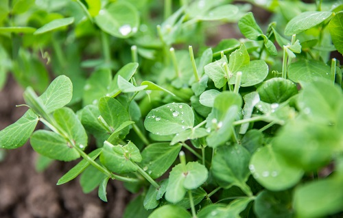 1647930306801912.png image.png