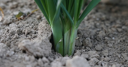 1654741468127919.png image.png