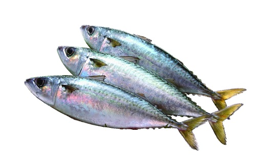 1659321319153660.png image.png