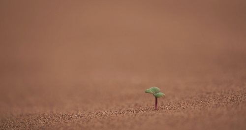 1659517142111238.png image.png