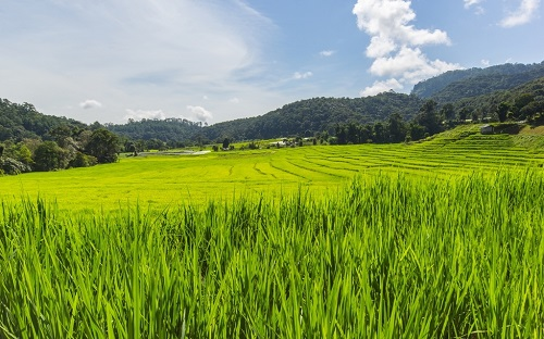 1660790983304520.png image.png