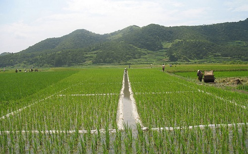 1662692853113973.png image.png