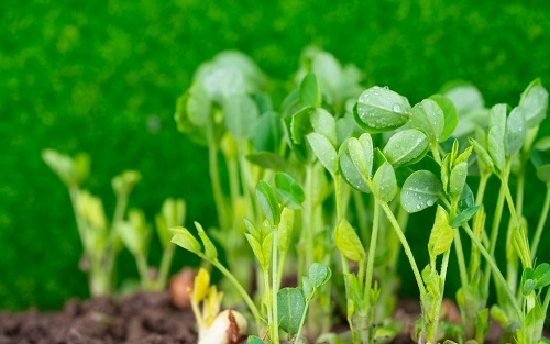 1663299584154351.png image.png