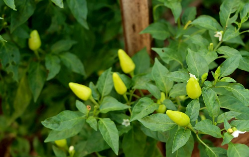 1664163483199363.png image.png