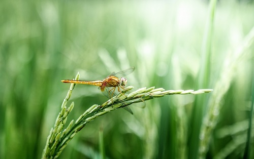 1665207107172434.png image.png