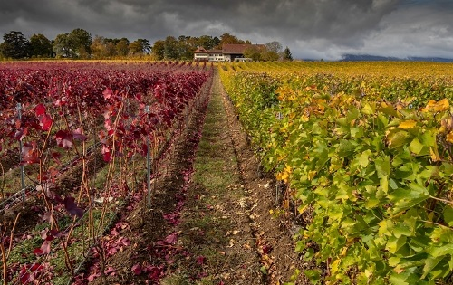 1665988858144005.png image.png