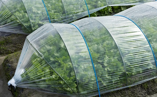 1666158371122951.png image.png