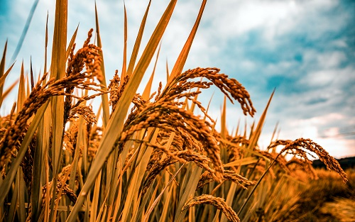 1666836392921886.png image.png