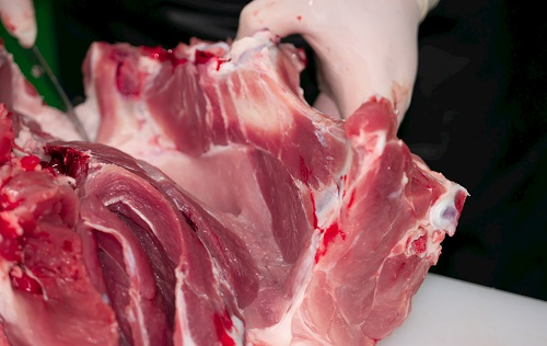 1666925567125106.png image.png