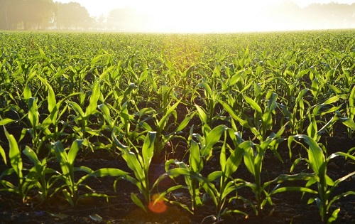 1667803080596888.png image.png