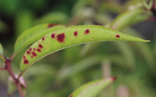 1667890888235762.png image.png