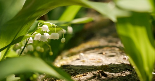 1667891565731256.png image.png