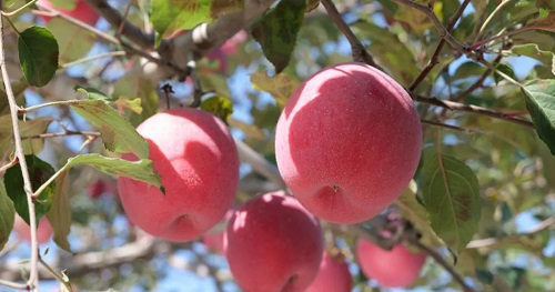 1668138221928542.png image.png