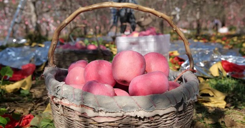 1668483437206183.png image.png