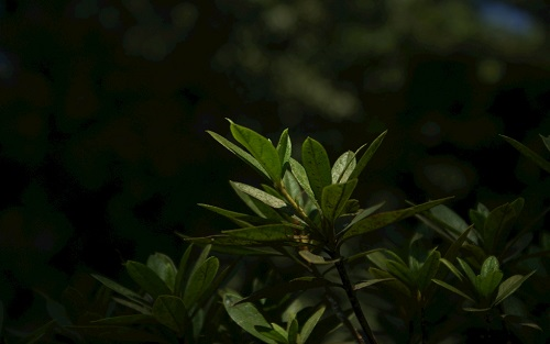 1668655920183327.png image.png