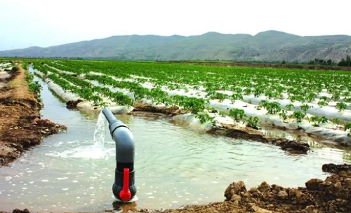 1669705530154972.png image.png