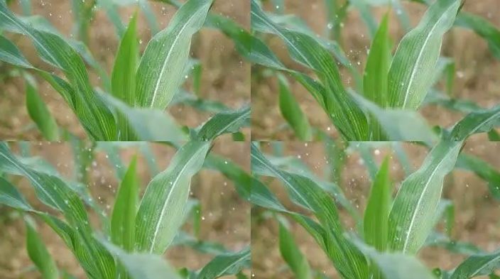 1669706165838776.png 1669706165838776.png