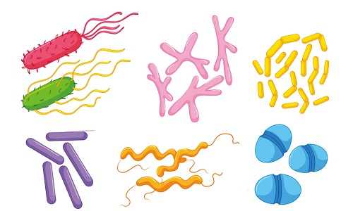 1669778395281499.png image.png