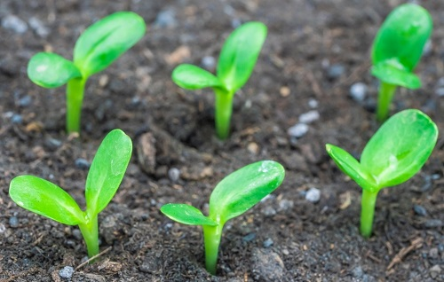 1669875473156771.png image.png