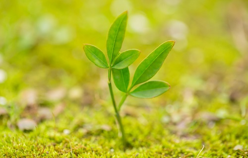 1670217508135045.png image.png