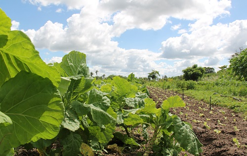 1670913466175142.png image.png