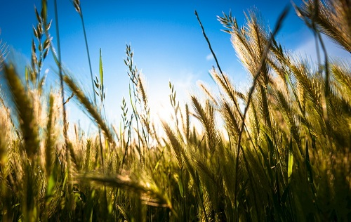 1674105965204285.png image.png