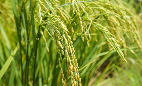 1674196001663461.png image.png