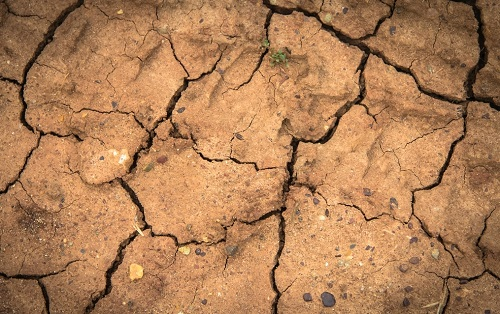 1674971465111163.png image.png