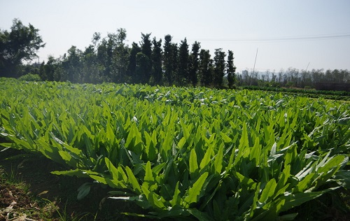 1676432088194475.png image.png