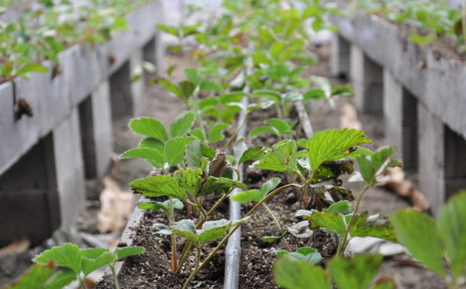 1679896749140672.png 1679896749140672.png