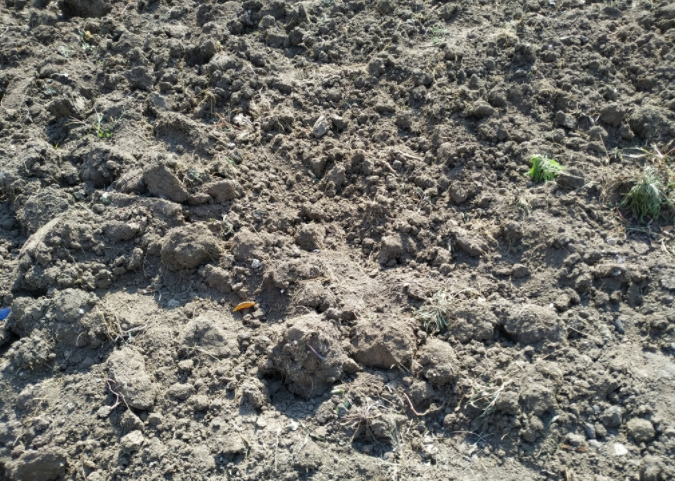 1682649565315882.png 1682649565315882.png