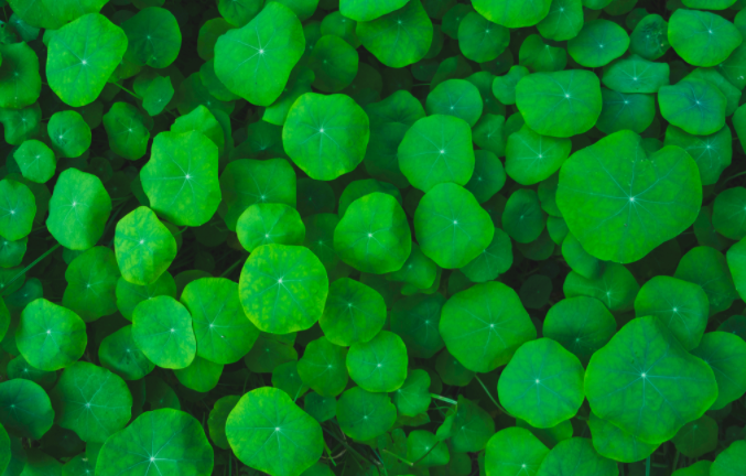 1684466139793144.png 1684466139793144.png